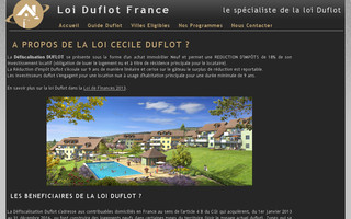 loi-duflot-france.com website preview