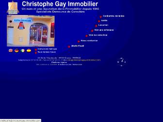 christophegay-immobilier.com website preview
