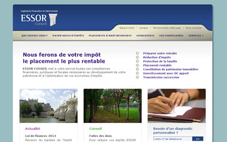 essor-conseil.com website preview