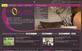 immobilier-consulting.com website preview