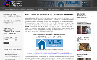 conseilsgestion.fr website preview