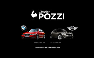 ch-pozzi.fr website preview