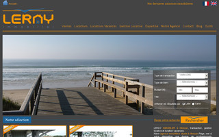 lerayimmo.fr website preview