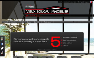 vieuxboucauimmobilier.com website preview