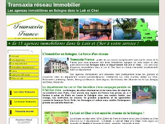 immobilier-loiretcher.com website preview