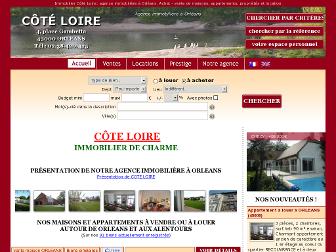 immobiliercoteloire.com website preview