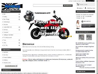 monkey-tuning.fr website preview