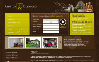 roanneimmobilier.fr website preview