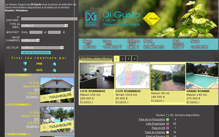 digustoimmobilier.fr website preview