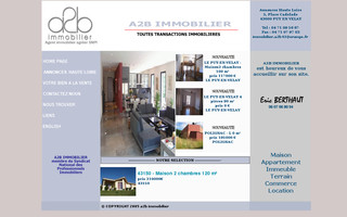 a2bimmobilier.net website preview