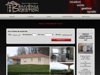 bienvenu-gestion.fr website preview