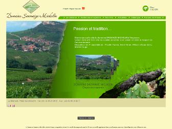 domaine-saumaize-michelin.com website preview