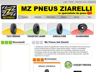 mzpneus.fr website preview