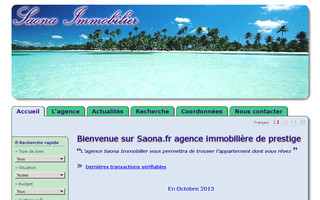 saona.fr website preview