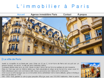 immobiliereparis.com website preview