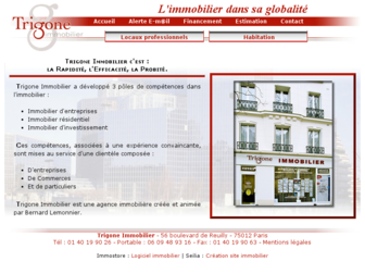 trigone-immobilier.com website preview