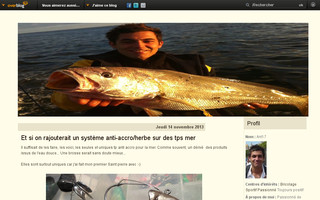 ant17-peche.over-blog.com website preview