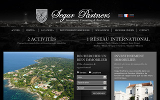 segurpartners.com website preview