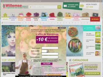 willemsefrance.fr website preview