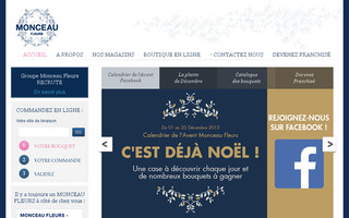 monceaufleurs.com website preview