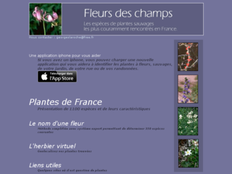fleurs-des-champs.com website preview