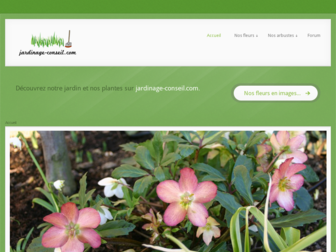 jardinage-conseil.com website preview