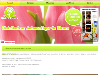 distributeur-fleurs.fr website preview