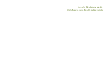 guillon-fleurs.fr website preview