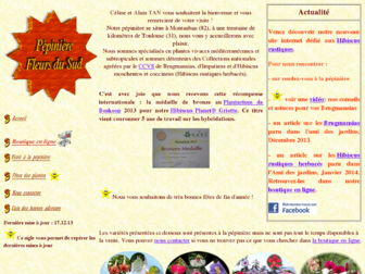 pepinierefleursdusud.com website preview