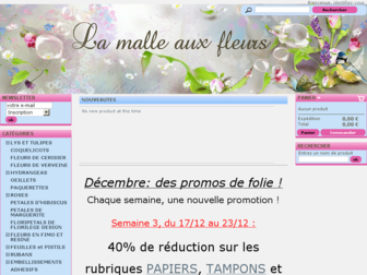 lamalleauxfleurs.com website preview