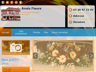 anais-fleurs.fr website preview