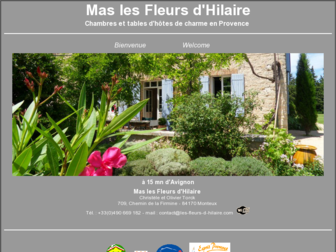 les-fleurs-d-hilaire.com website preview