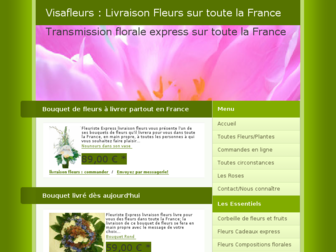 postulka-livraison-fleurs.com website preview