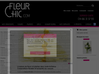 fleur-chic.com website preview