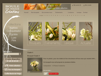 bouledeneige.fr website preview
