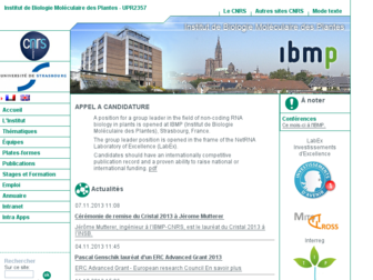 ibmp.cnrs.fr website preview