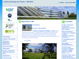 ibp.u-psud.fr website preview