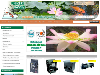 univers-bassin.com website preview