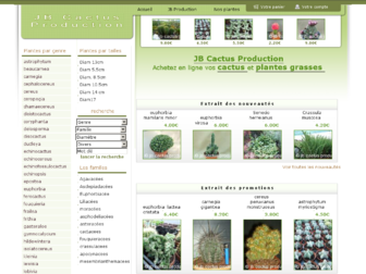 jbcactus.com website preview