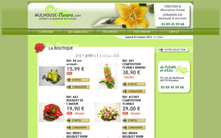 mulhouse-fleurs.com website preview