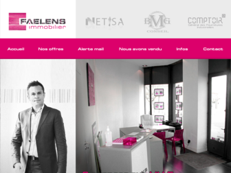 faelensimmobilier.com website preview