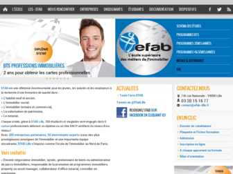 efab-lille.fr website preview