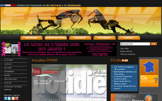 ffsnw.fr website preview