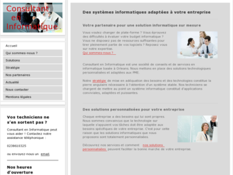 consultanteninformatique.fr website preview