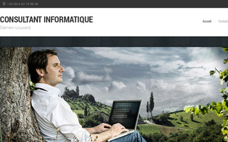 damien-louvard.fr website preview
