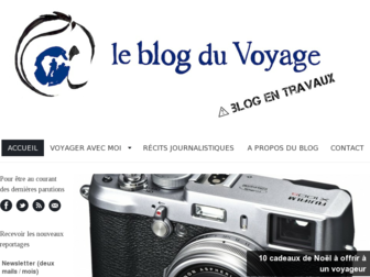 blogduvoyage.fr website preview