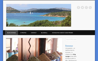 leprochainvoyage.com website preview