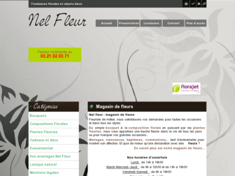 nelfleur.fr website preview