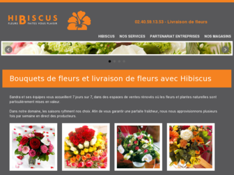 hibiscusnantes.fr website preview