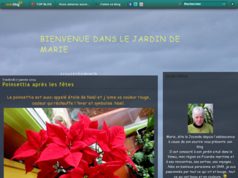 jardindemarie.org website preview